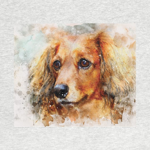 Dachshund dog watercolour digital portrait by gezwaters